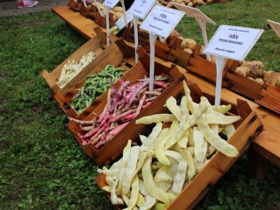 Zeleni dragulji prirode na Agri