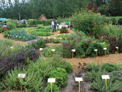 Zeleni dragulji prirode na Agri