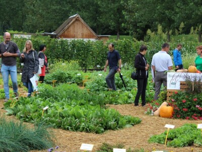 Zeleni dragulji prirode na Agri