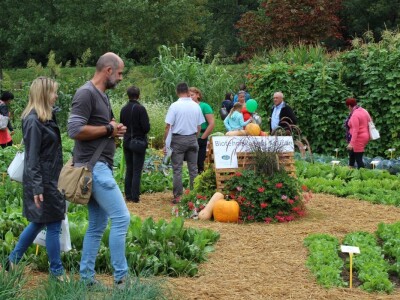 Zeleni dragulji prirode na Agri