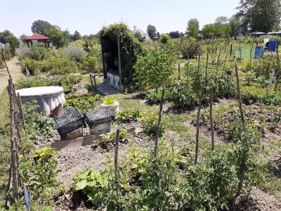 Zeleni inkubator Zeleni inkubator