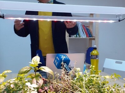 Zeleni inkubator Zeleni inkubator