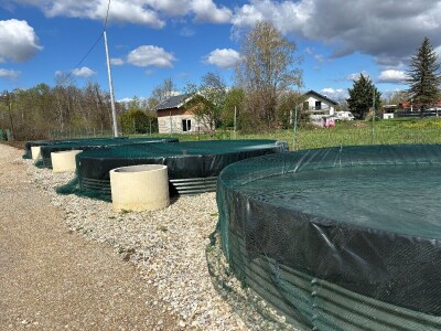 Zelenim mrijestilištem očuvanje autohtonih vrsta riba Zelenim mrijestilištem očuvanje autohtonih vrsta riba
