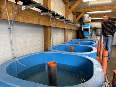 Zelenim mrijestilištem očuvanje autohtonih vrsta riba Zelenim mrijestilištem očuvanje autohtonih vrsta riba