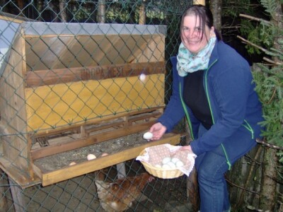 Zelenkasta jaja imaju manje kolesterola