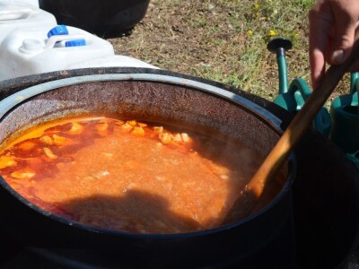 ZELENO I PLAVO NA ZADARSKOJ RIVI - Sajam proizvoda Udruge branitelja proizvođača Panonija