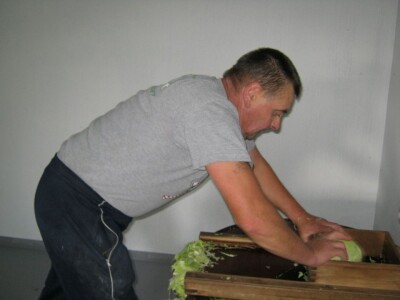 Zelje s OPG-a Zlatarek