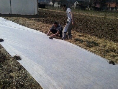 Zelje s OPG-a Zlatarek