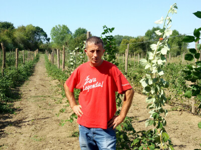 zeljko_simic_malinar