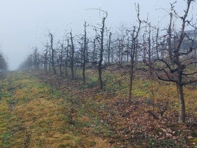 Željko Durić Željko Durić