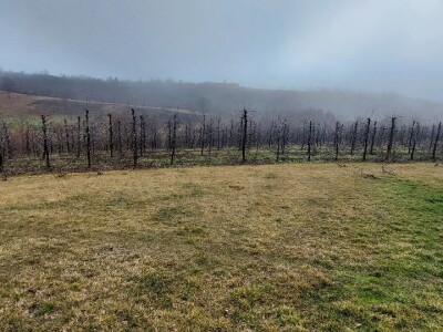 Željko Durić Željko Durić