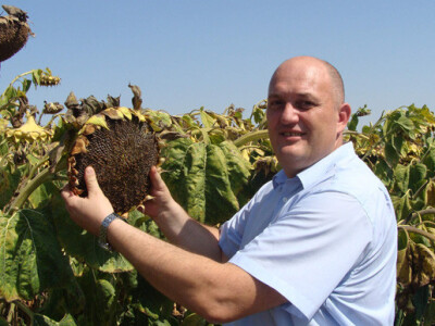 dr. sc. Željko Kraljičak, Osječko-baranjski dožupan