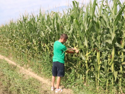 Željko Medić iz tvrtke Artos d.o.o. iz Lukača