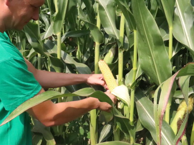 Željko Medić iz tvrtke Artos d.o.o. iz Lukača