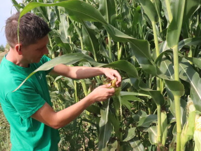 Željko Medić iz tvrtke Artos d.o.o. iz Lukača