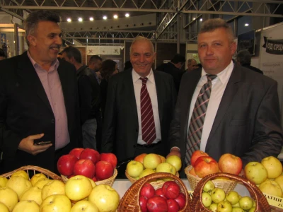 Željko Radošević