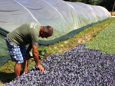 Željko Šimić poljoprivrednik iz Bjeliševca Željko Šimić poljoprivrednik iz Bjeliševca