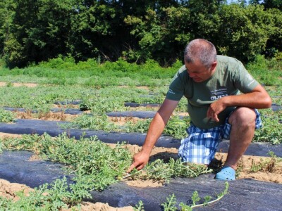 Željko Šimić poljoprivrednik iz Bjeliševca Željko Šimić poljoprivrednik iz Bjeliševca
