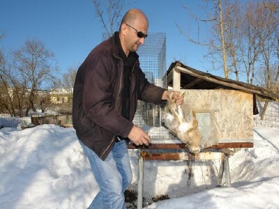 Branitelj izvlači uginulog divljeg zeca iz kaveza