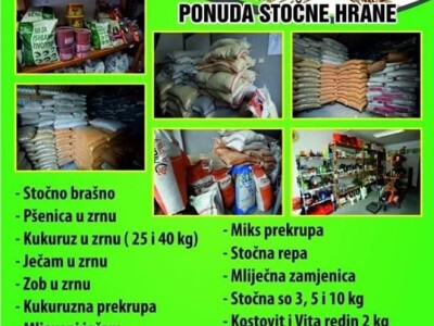 Zemljoradnička zadruga "AT" podiže plantažu lješnika Zemljoradnička zadruga "AT" podiže plantažu lješnika