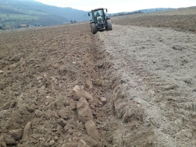 Zemljoradnička zadruga "AT" podiže plantažu lješnika Zemljoradnička zadruga "AT" podiže plantažu lješnika