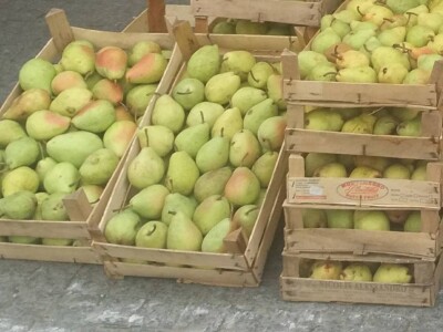 Žena, majka, kraljica voćnjaka Žena, majka, kraljica voćnjaka