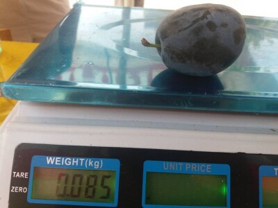 Žena, majka, kraljica voćnjaka Žena, majka, kraljica voćnjaka