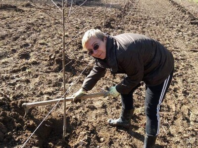 Žena, majka, kraljica voćnjaka Žena, majka, kraljica voćnjaka