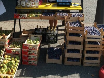 Žena, majka, kraljica voćnjaka Žena, majka, kraljica voćnjaka