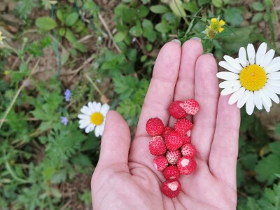Žene biraju novu šansu