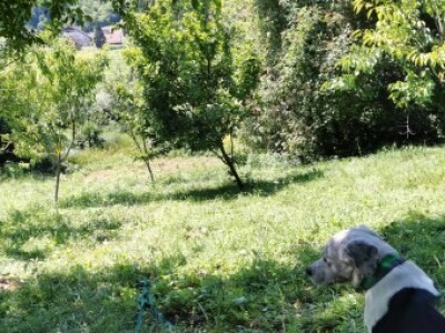 Žene biraju novu šansu