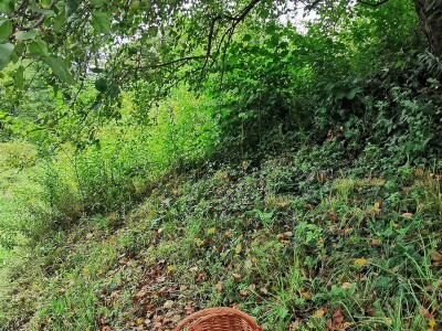 Žene biraju novu šansu