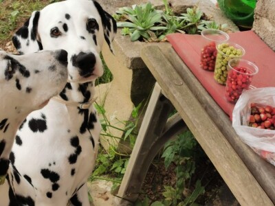 Žene biraju novu šansu