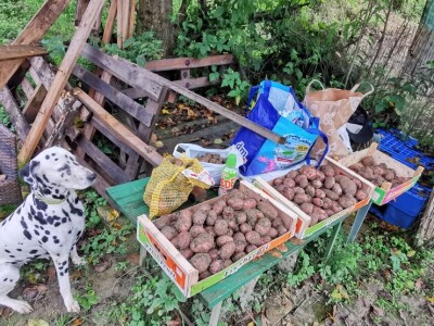 Žene biraju novu šansu