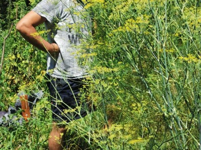 Žene biraju novu šansu