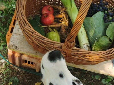 Žene biraju novu šansu