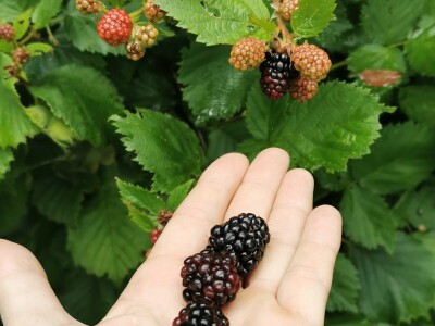 Žene biraju novu šansu