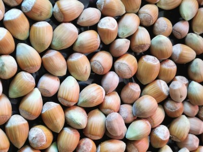 Žene biraju novu šansu