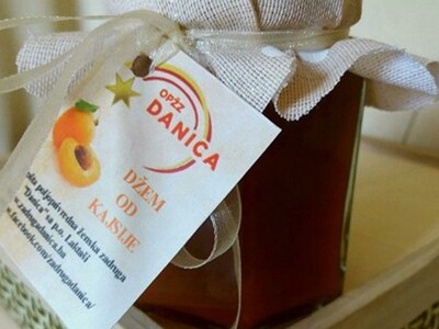 Ženska zadruga "Danica"