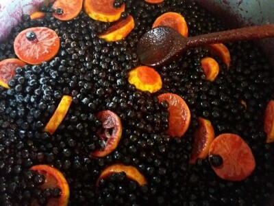 Ženska zadruga "Danica"