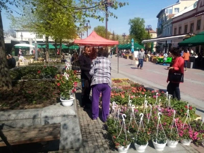 "Ženski bazar"