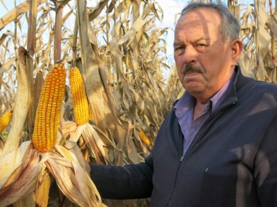 Tučkorić zadovoljan djelovanjem zeolita