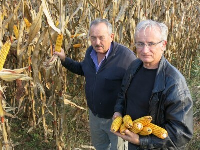 Đuro Ercegovac i Josip Tučkorić