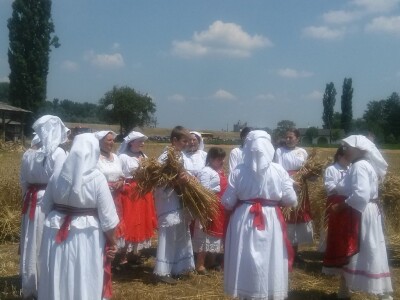 Prije žetve, malo se zapjevalo