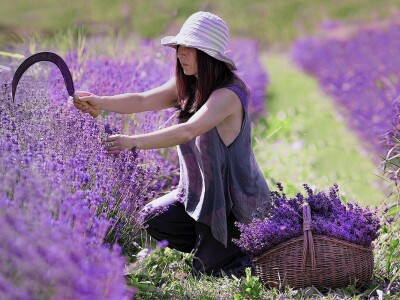 RuralFoto 2025 - TOP 10 fotografija u kategoriji #Proizvodnja