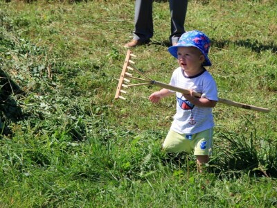 Žetva zobi u Gorskom kotaru na tradicijski način