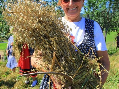 Žetva zobi u Gorskom kotaru na tradicijski način