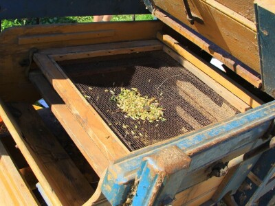 Žetva zobi u Gorskom kotaru na tradicijski način