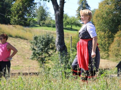 Žetva zobi u Gorskom kotaru na tradicijski način