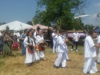 Ulazak mobe u polje